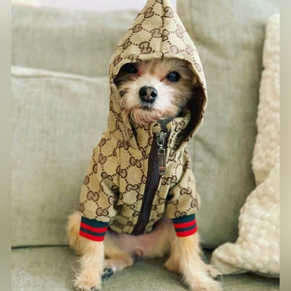 Always have fun with fashion. Dress to entertain yourself.” - Betsey Johnson - Picture 4 of 10